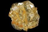 2.45" Twinned Selenite Crystals (Fluorescent) - Red River Floodway - #130300-1